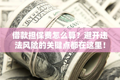 济南借款担保费怎么算？避开违法风险的关键点都在这里！