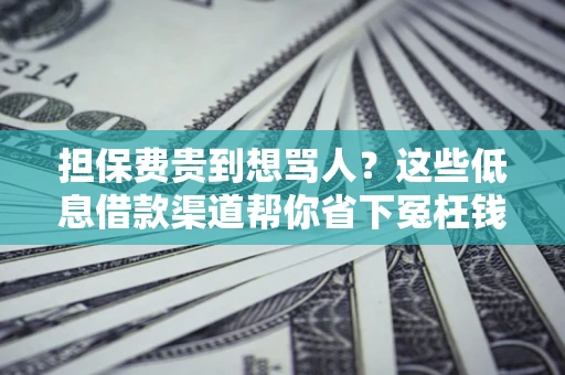济南担保费贵到想骂人？这些低息借款渠道帮你省下冤枉钱