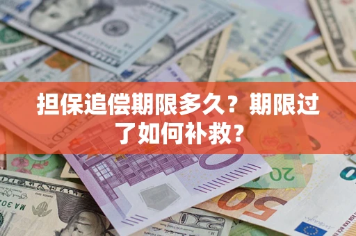 济南担保追偿期限多久？期限过了如何补救？