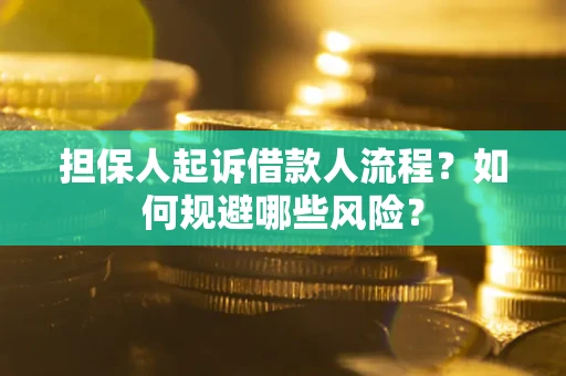 济南担保人起诉借款人流程？如何规避哪些风险？