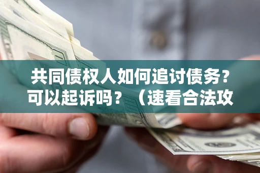 济南共同债权人如何追讨债务？可以起诉吗？（速看合法攻略）